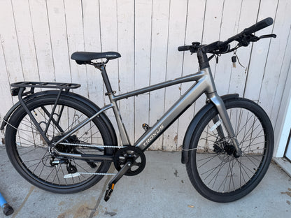 Trax Sport E-Bike